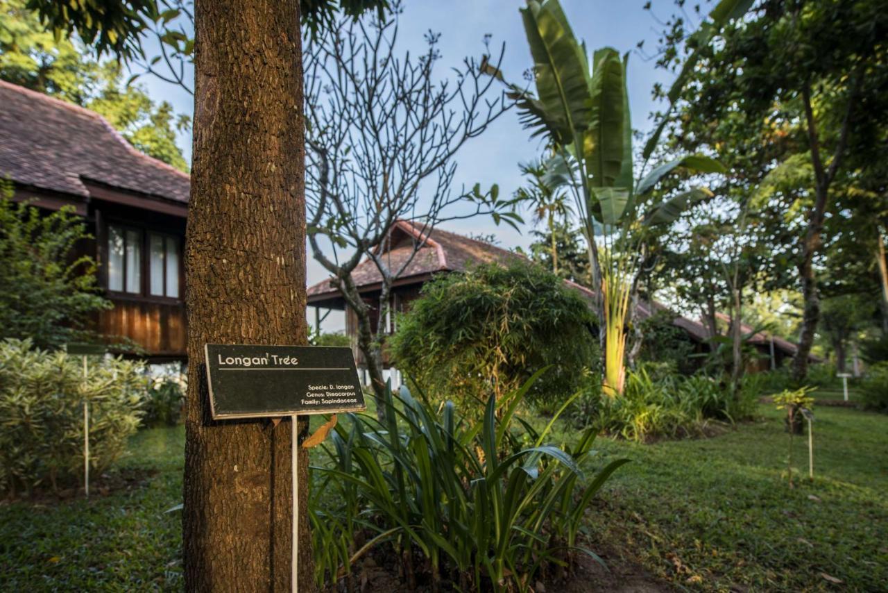 La Folie Lodge Champasak Bagian luar foto